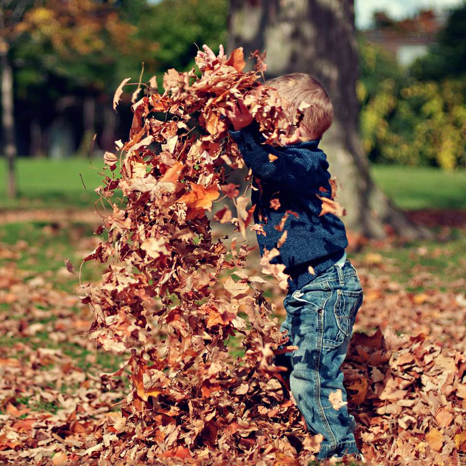 PlayShool’s  Daycare